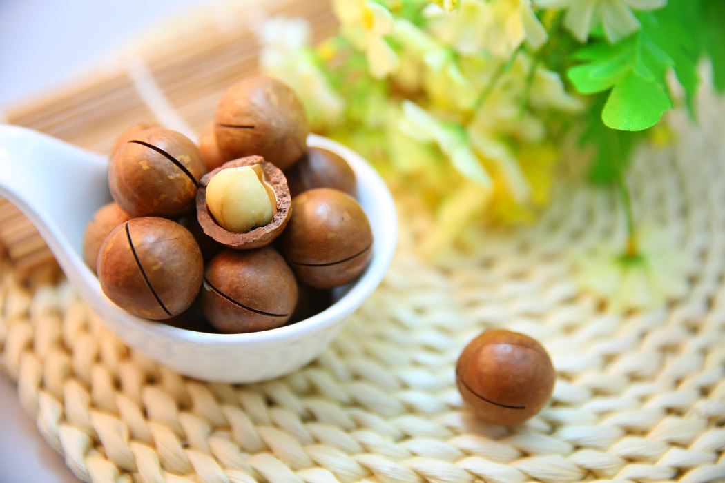 Dlaczego olej macadamia to surowiec cenny w kosmetyce?