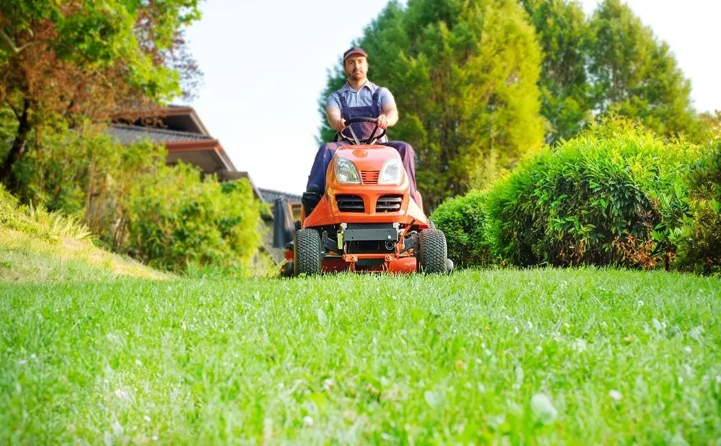 Utrzymanie terenów zewnętrznych - jakie usługi wchodzą w jego skład?