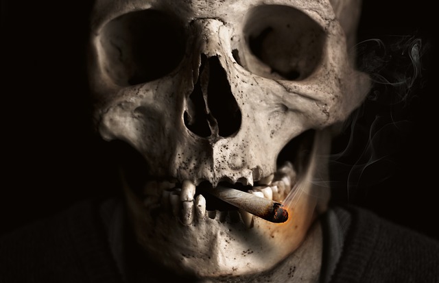  Jak bardzo palenie tytoniu szkodzi zdrowiu 
