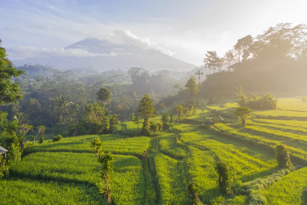 5 powodów, dla których Bali jest wyjątkowe