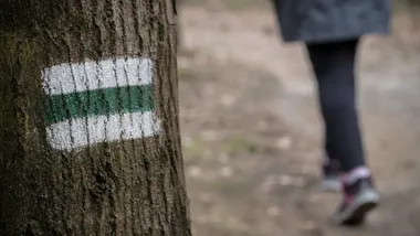 W lesie łatwo stracić orientację - policja przypomina o zasadach