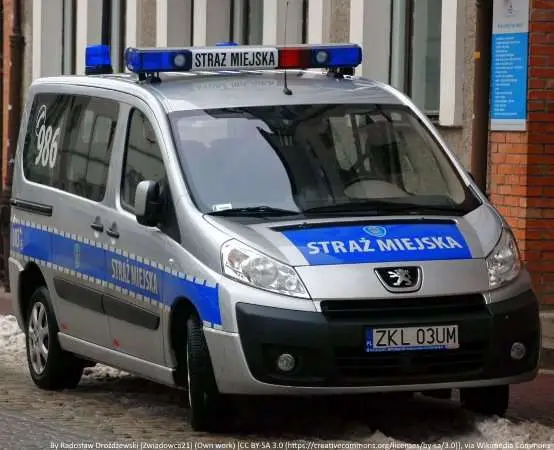 Operator monitoringu pomógł. Strażnicy ujęli trzech wandali w Częstochowie