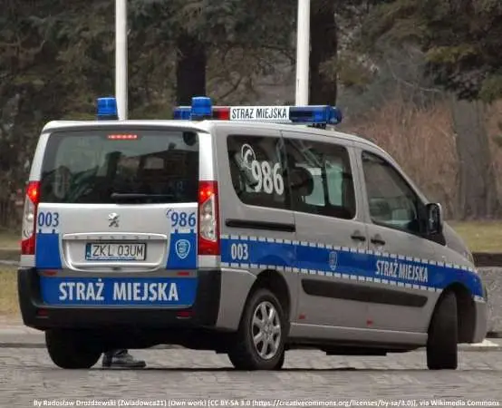 Strażnicy miejscy zatrzymali złodzieja, który napadł pracownika ochrony