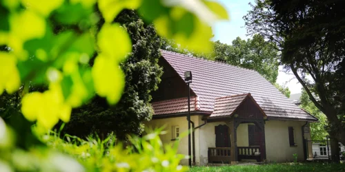 Grafika promocyjna wydarzenia Na przydrożach i przypłociach. Wybrane rośliny apotropeiczne w kulturze Słowian