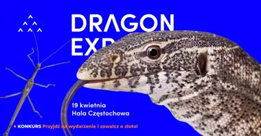 Grafika promocyjna wydarzenia Dragon Expo — Terrarystyczne i Botaniczne spotkanie w Częstochowie