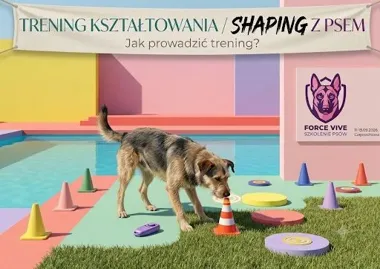 SHAPE(ing) IT – warsztaty z psem