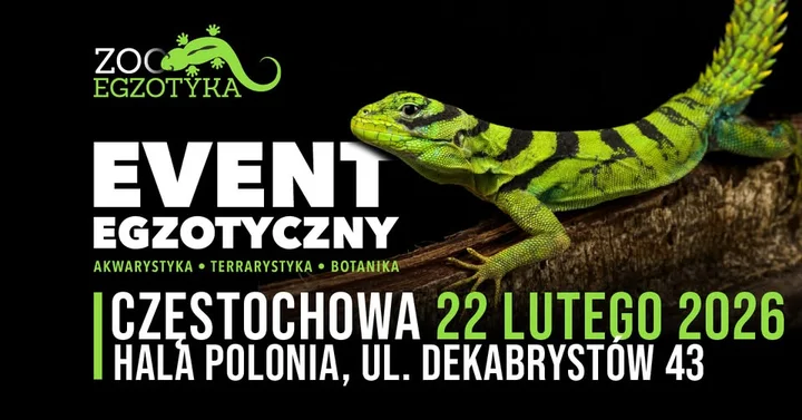 Grafika promocyjna wydarzenia ZooEgzotyka Częstochowa — targi zwierząt i roślin egzotycznych (22 lutego 2026)