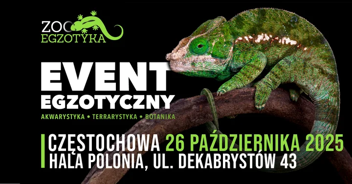 Obrazek przedstawia grafikę promocyjną wydarzenia Wystawa zwierząt egzotycznych w Częstochowie — 26 października 2025