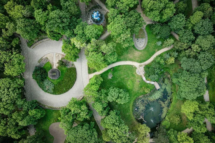 Częstochowa wchodzi w tydzień koszeń i cięć krzewów w wielu rejonach