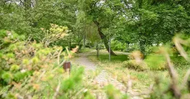 Trawniki i żywopłoty pod nożyce. Częstochowa ma plan na ten tydzień