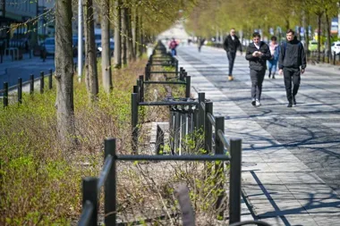 Nowe ogrodzenia w III Alei. Zieleń ma wreszcie odetchnąć