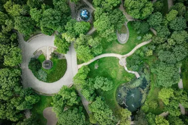 Częstochowa wchodzi w tydzień koszeń i cięć krzewów w wielu rejonach