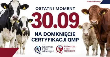 Rolnicy muszą zdążyć z certyfikatem QMP. Inaczej stracą dopłatę