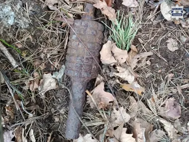 Granat w lesie pod Częstochową. Spacerowicz uruchomił policyjny alarm