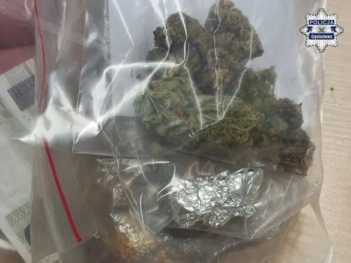 Plecak pełen narkotyków rozbił duet z Częstochowy - jeden trafił do aresztu