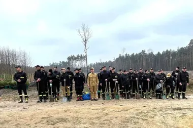 W Leśnictwie Aleksandria sadzono młode drzewa z myślą o kolejnych pokoleniach