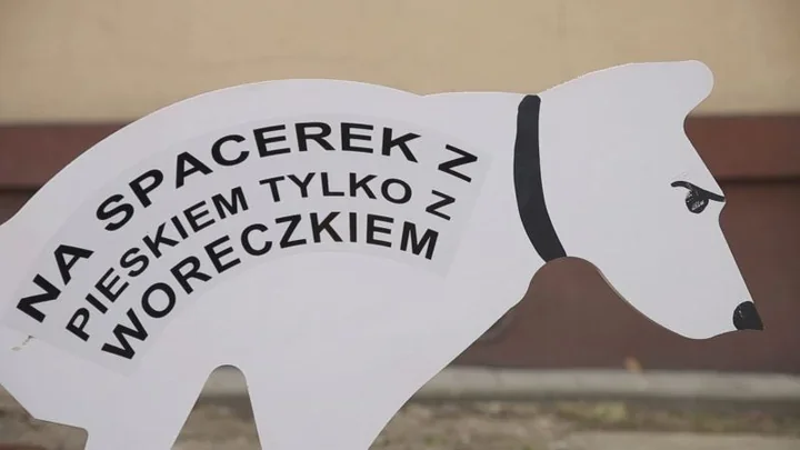 Straż Miejska w Częstochowie ostrzega - właściciele psów muszą sprzątać po pupilach